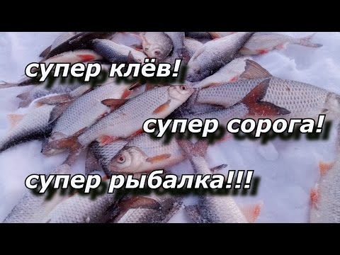 СУПЕР КЛЁВ! СУПЕР СОРОГА! СУПЕР РЫБАЛКА!!! SUPER BITE! SUPER ROACH! SUPER FISHING!!!