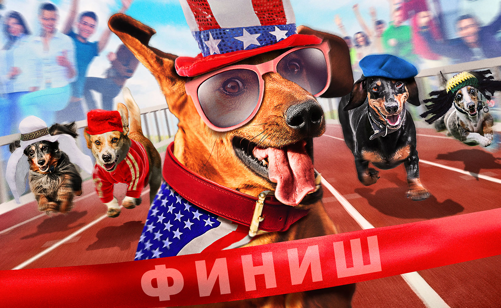 Супер Такса