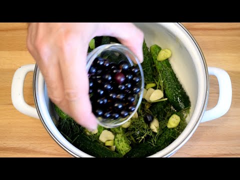 Съедят за минуту! Необыкновенно вкусный РЕЦЕПТ из обычных ОГУРЦОВ!