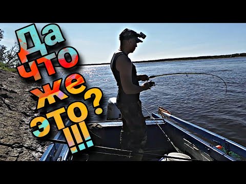 такой рыбалки я не ожидал...