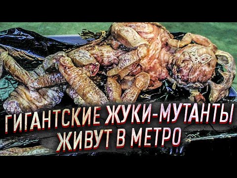 ТРЕШ ОБЗОР фильма МУТАНТЫ [Гильермо дель Торо Могет]