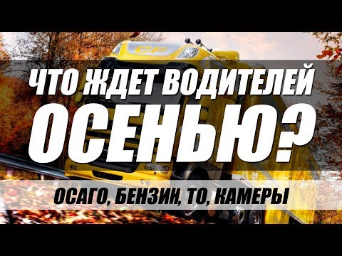 ЧЕМ "ПОРАДУЕТ" ОСЕНЬ 2018? Штрафы, ОСАГО, бензин, ТО и не только..