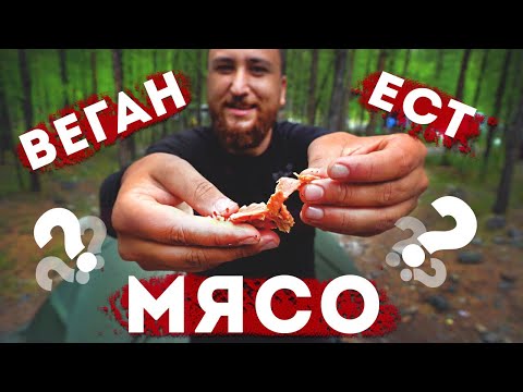Что Едят Веганы в Походе? Выживание в Горах!?