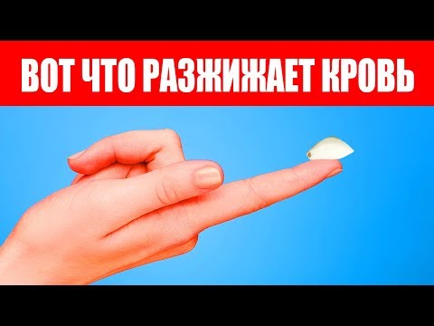 Что разжижает кровь. Разжижение крови без лекарств