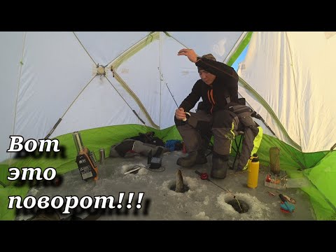 ШОК!!! ПОДВОДНЫЕ КАДРЫ!!! ЩУКА АТАКУЕТ БАЛАНСИР !!! Локки впервые на охоте и рыбалке!!!