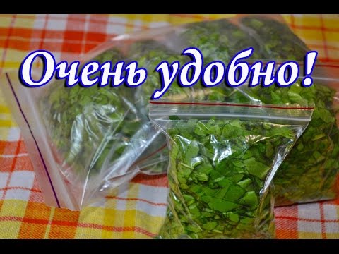Щавель на зиму