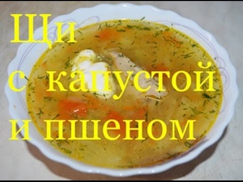 Щи с капустой, пшеном и яйцом в мультиварке