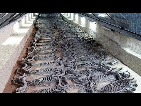 12 Самых Невероятных Археологических Находок