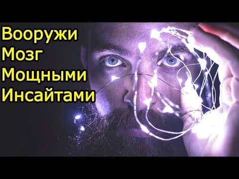 22 МОЩНЫХ инсайта – ты их знаешь ? Если нет будешь плестись к успеху как черепаха – Мудрые мысли