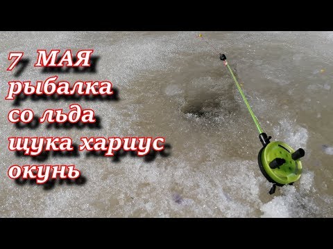 7 мая рыбалка со льда. хариус щука окунь