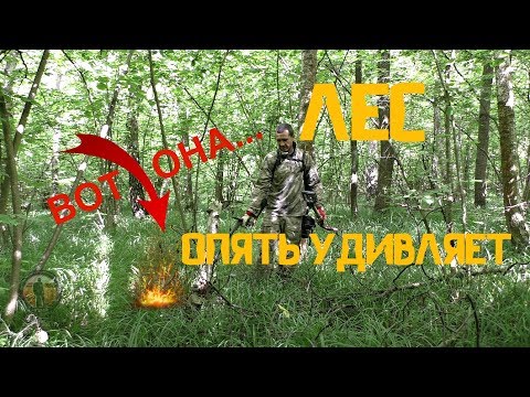 Супер лес. Богатый на хорошие находки