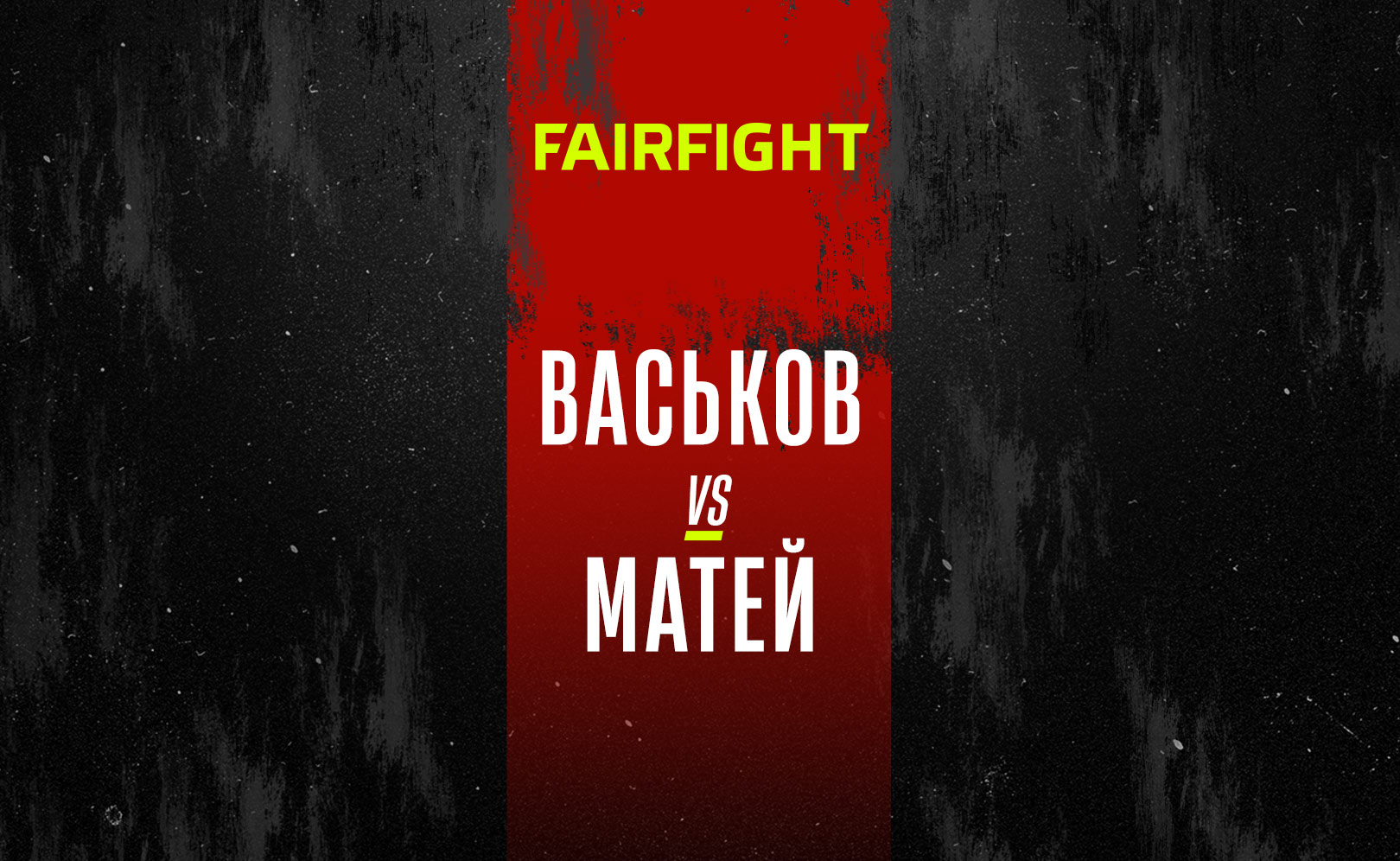 Васьков vs Матей