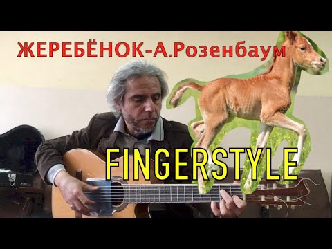 А.Розенбаум- Жеребенок -Fingerstyle