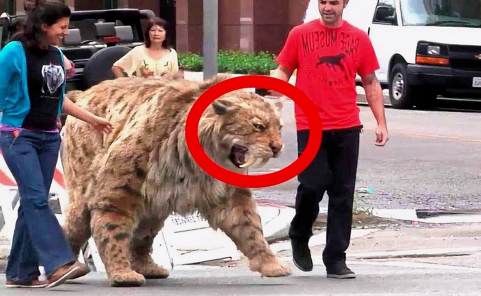 Вымершие и живые саблезубые животные