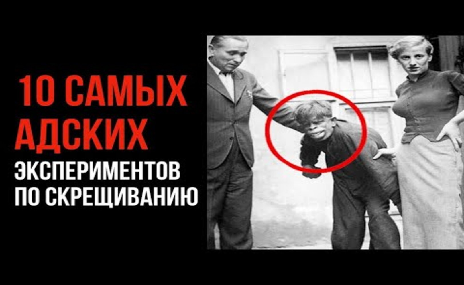 10 Самых адских экспериментов по скрещиванию