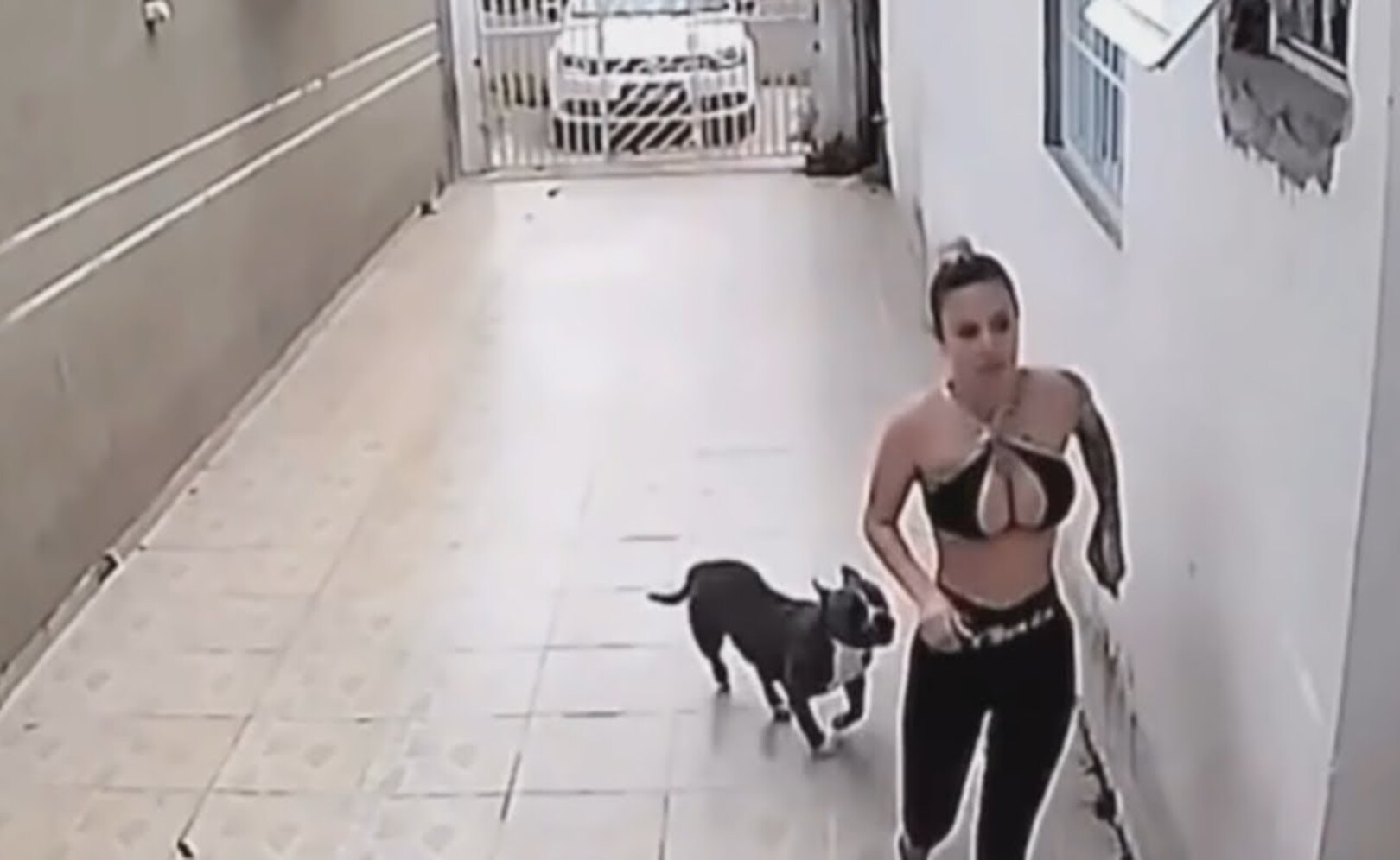 Посмотрите, что Бывает! Эти Видео Повезло Снять на Камеру