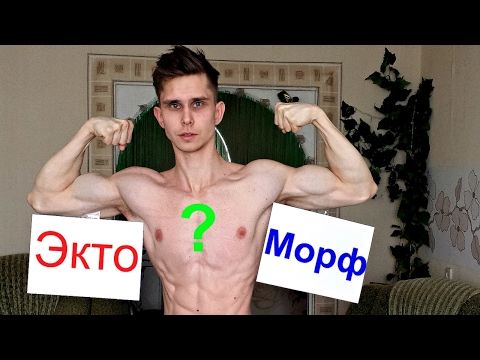 Кто такой Эктоморф?