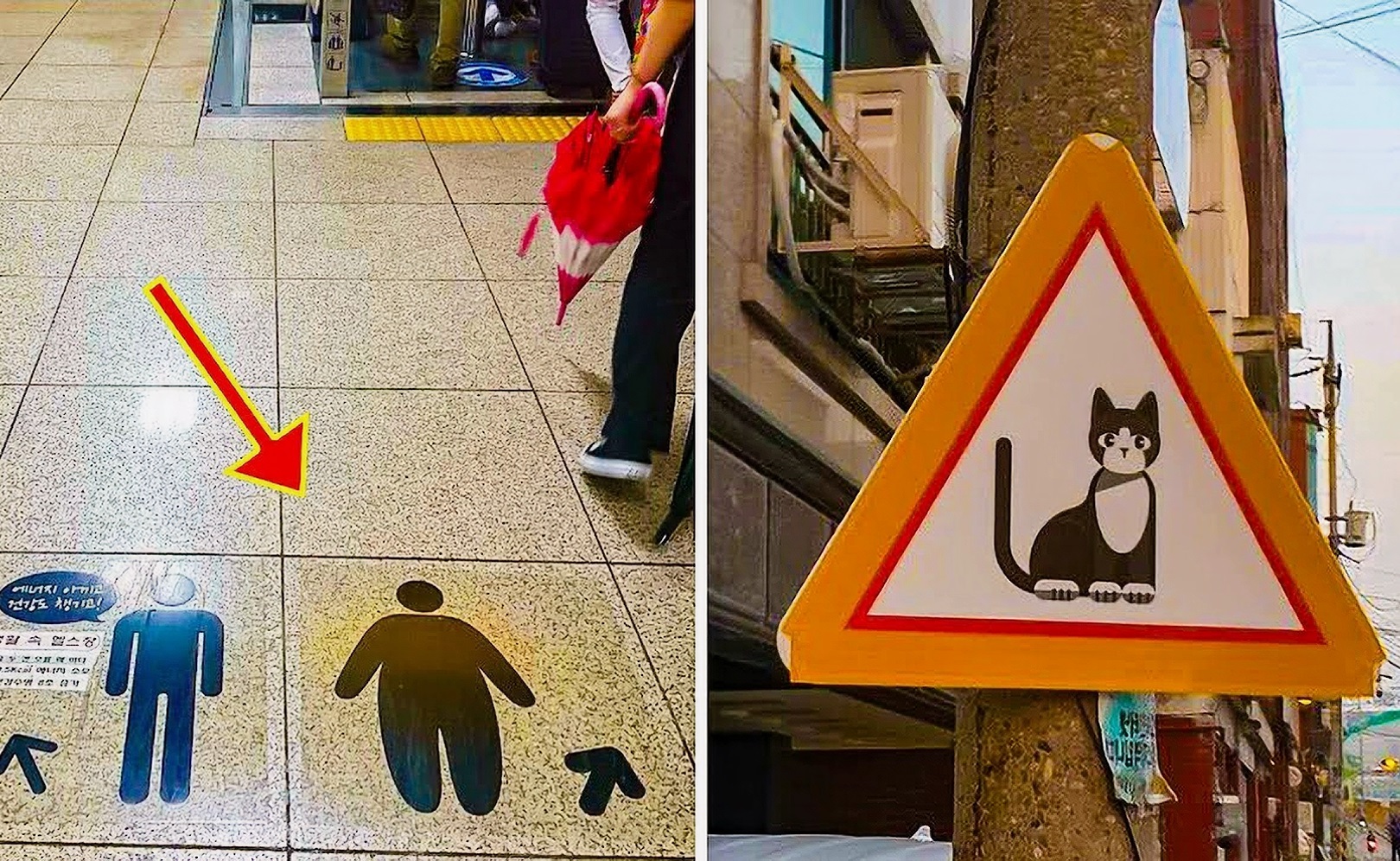 Странные вещи, которые кажутся нормальными только в Южной Корее