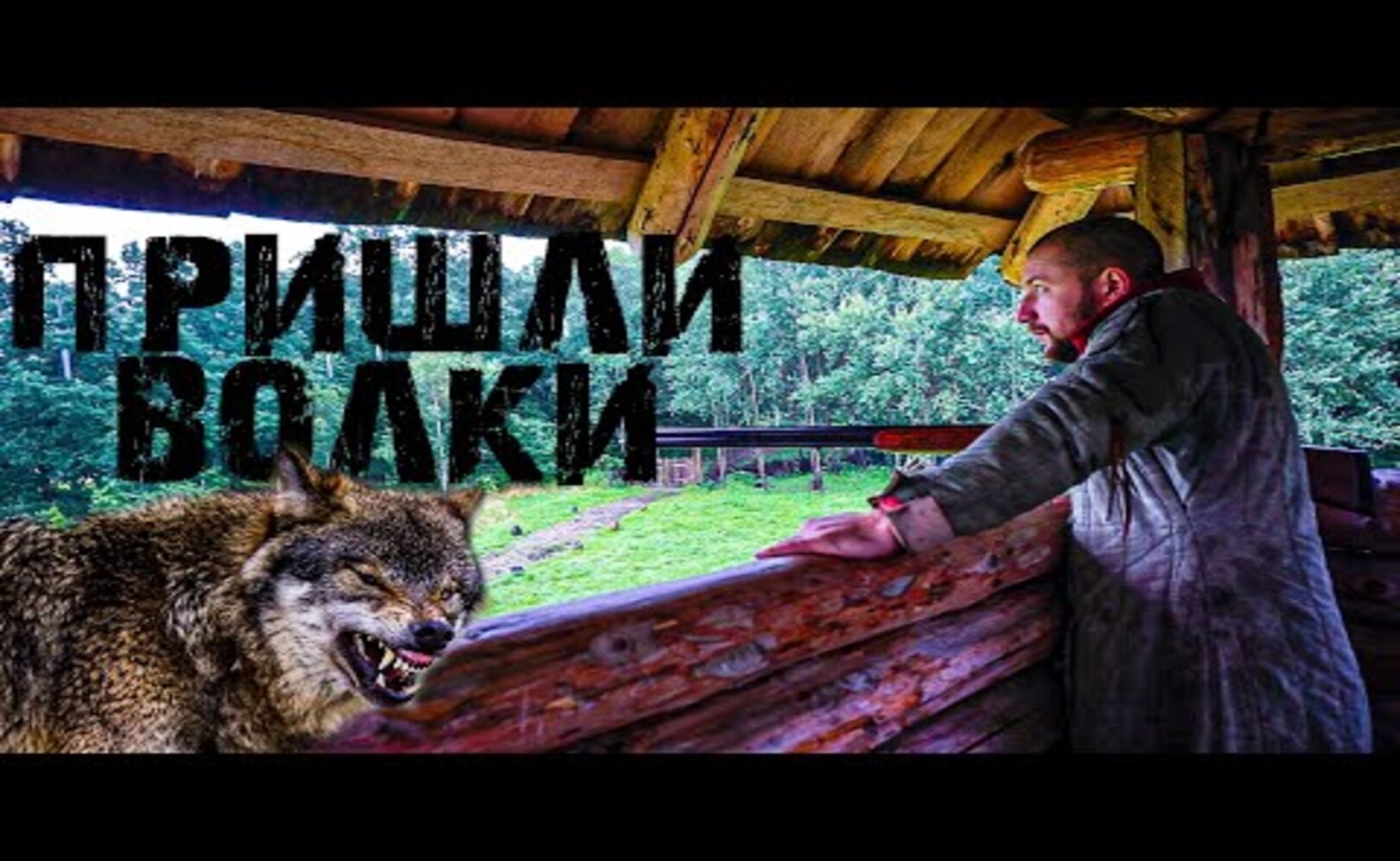 К нам ПРИШЛИ ВОЛКИ! У нас МИНУС 2!