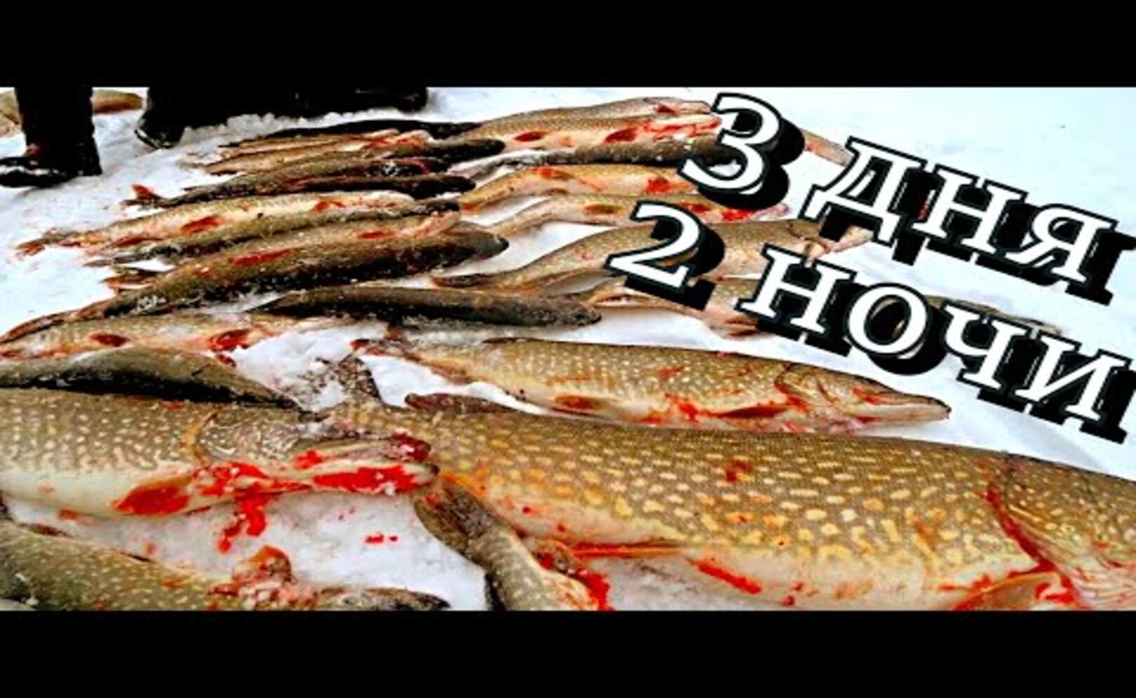 РЫБОЛОВНЫЙ all inclusive_ 3 ДНЯ И 2 НОЧИ БЕЗУМНОГО КЛЁВА____