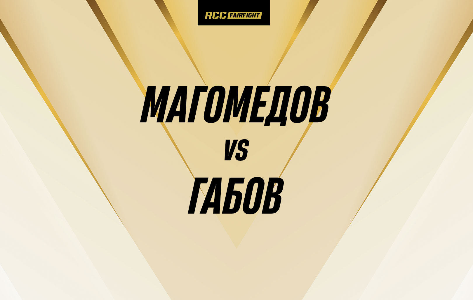 Магомедов vs Габов