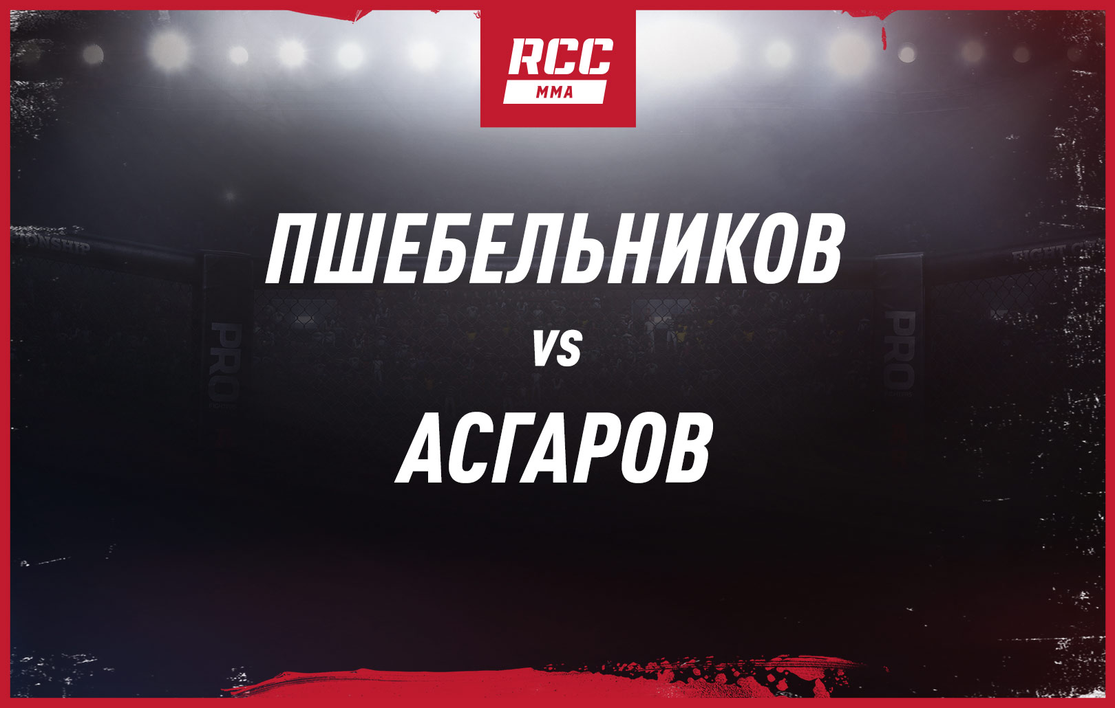 Пшебельников vs Асгаров