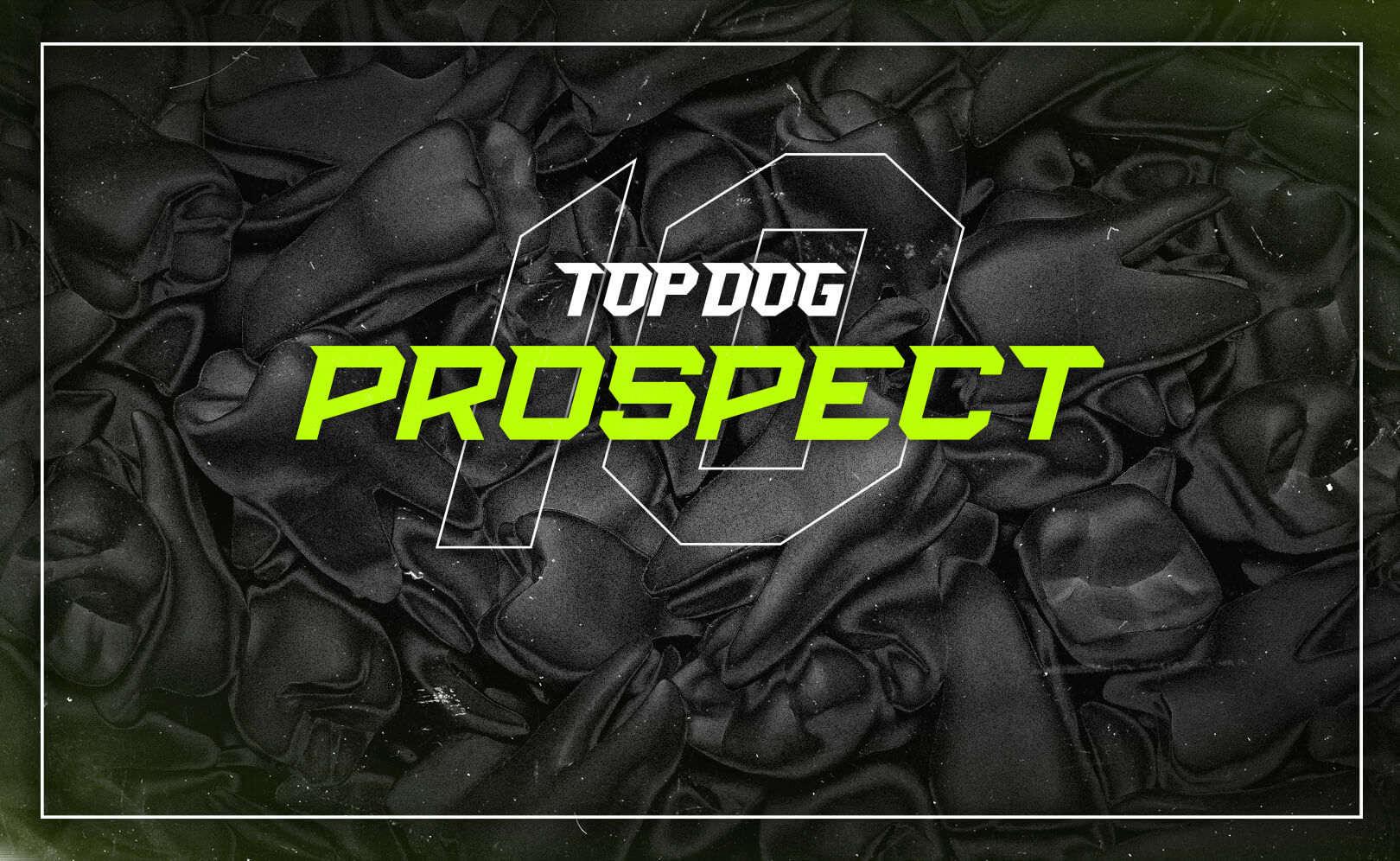 Top Dog Prospect 10