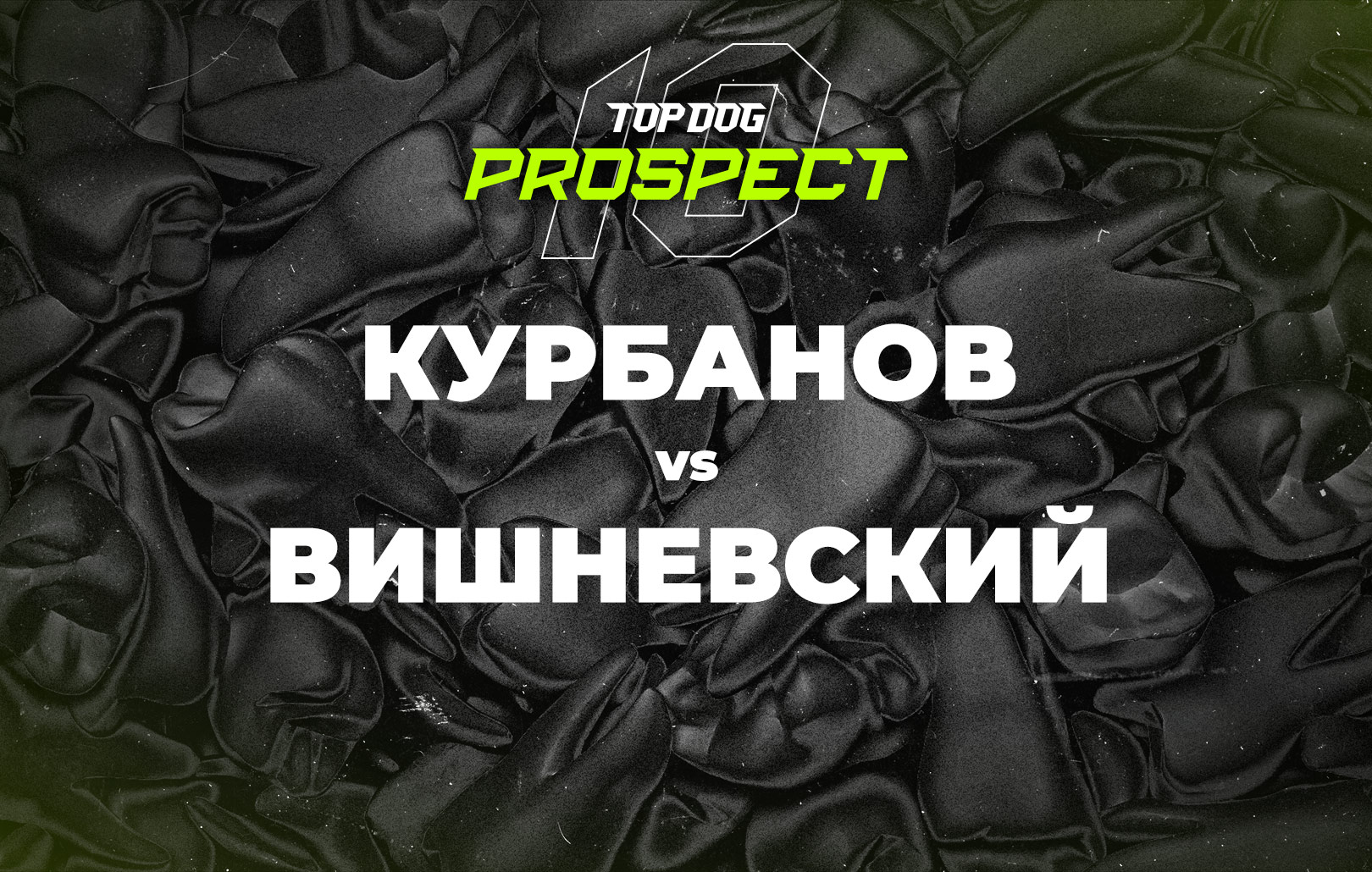 Курбанов vs Вишневский