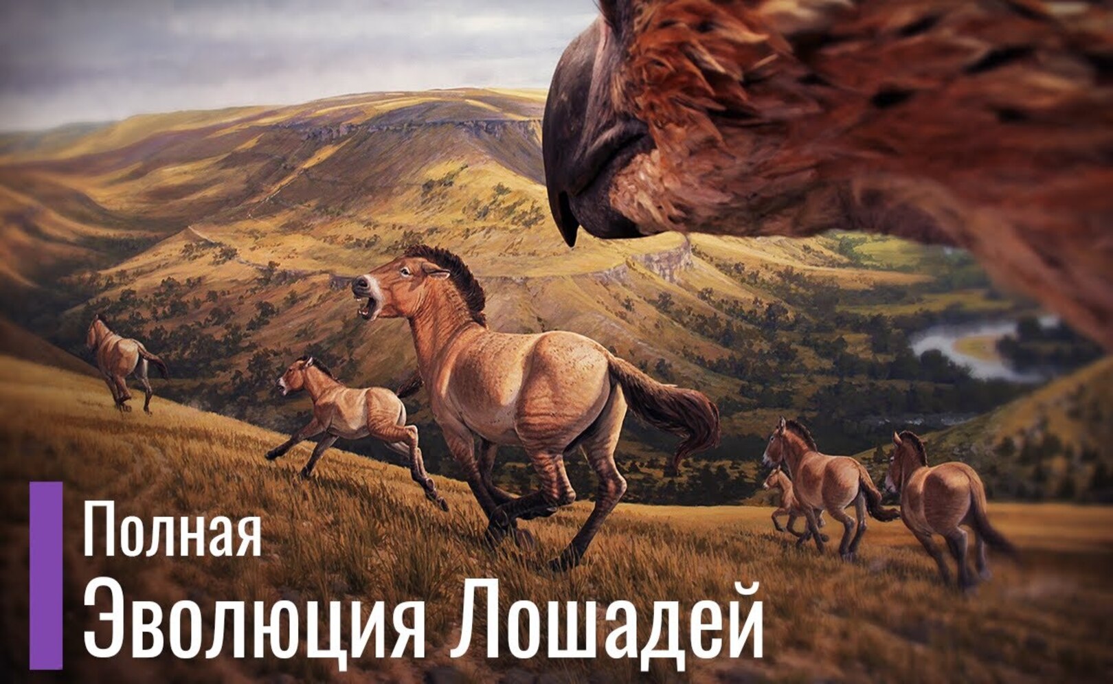 Реальная Эволюция Лошадей. Первобытные лошади