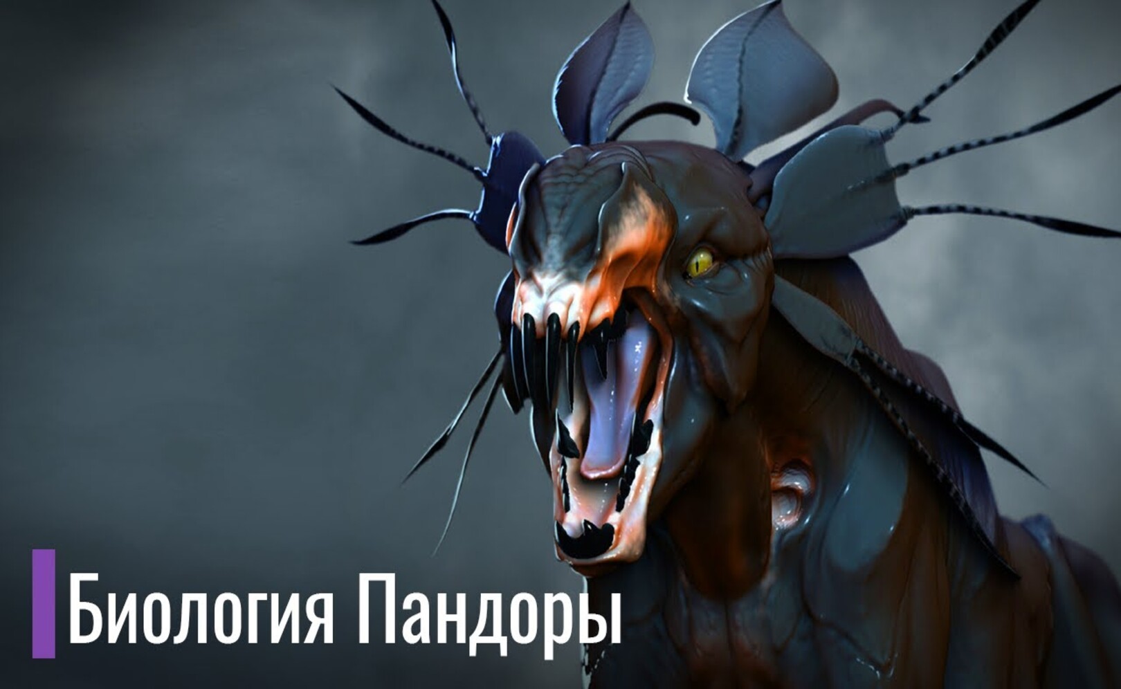 Биология животных из Аватара. Экосистема Пандоры