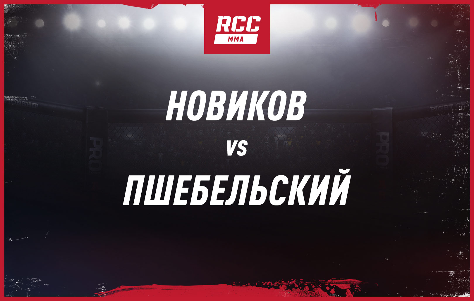 Новиков vs Пшебельский