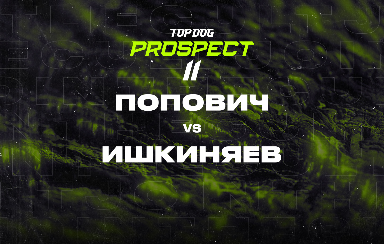 Попович vs Ишкиняев