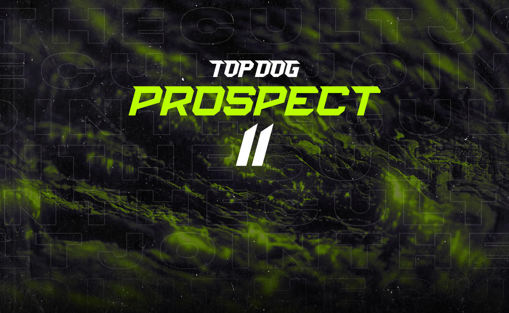 Top Dog Prospect 11