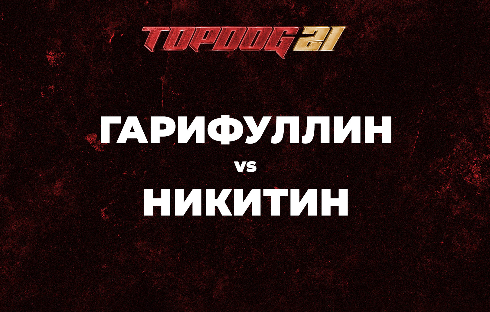 Гарифуллин vs Никитин