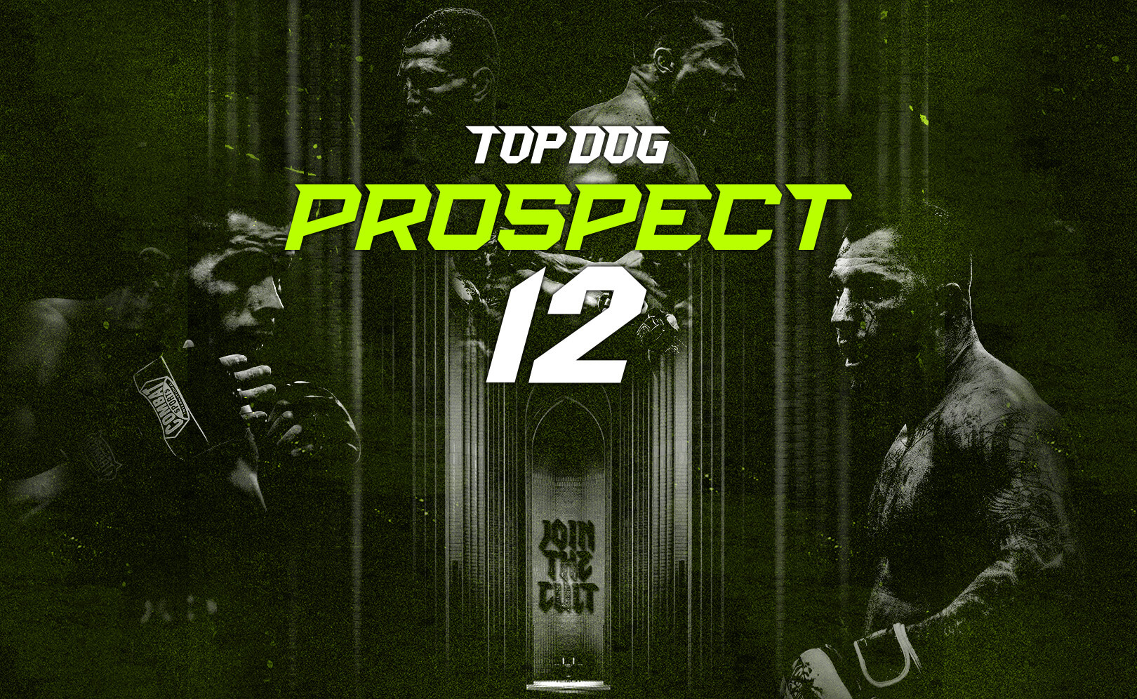 Top Dog Prospect 12