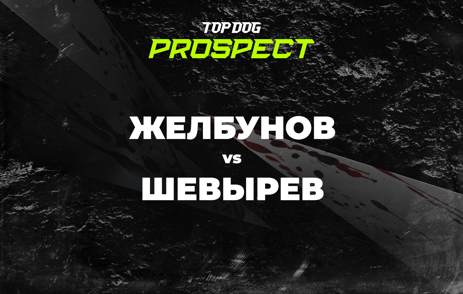 Желбунов vs Шевырев