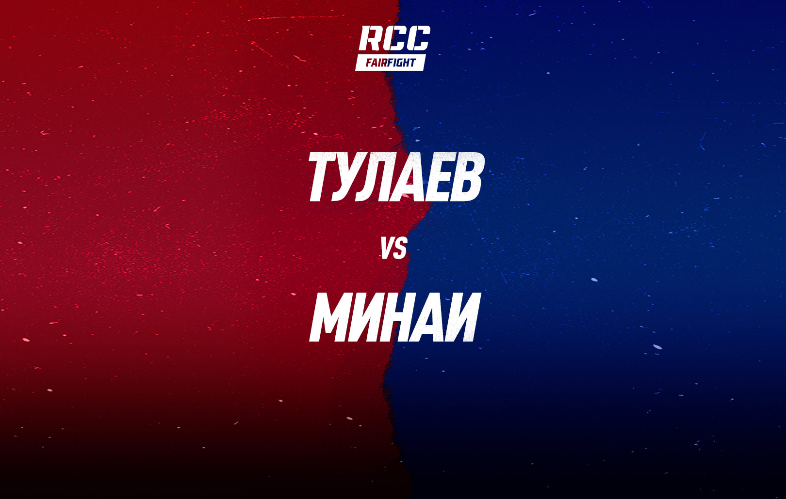 Тулаев vs Минаи