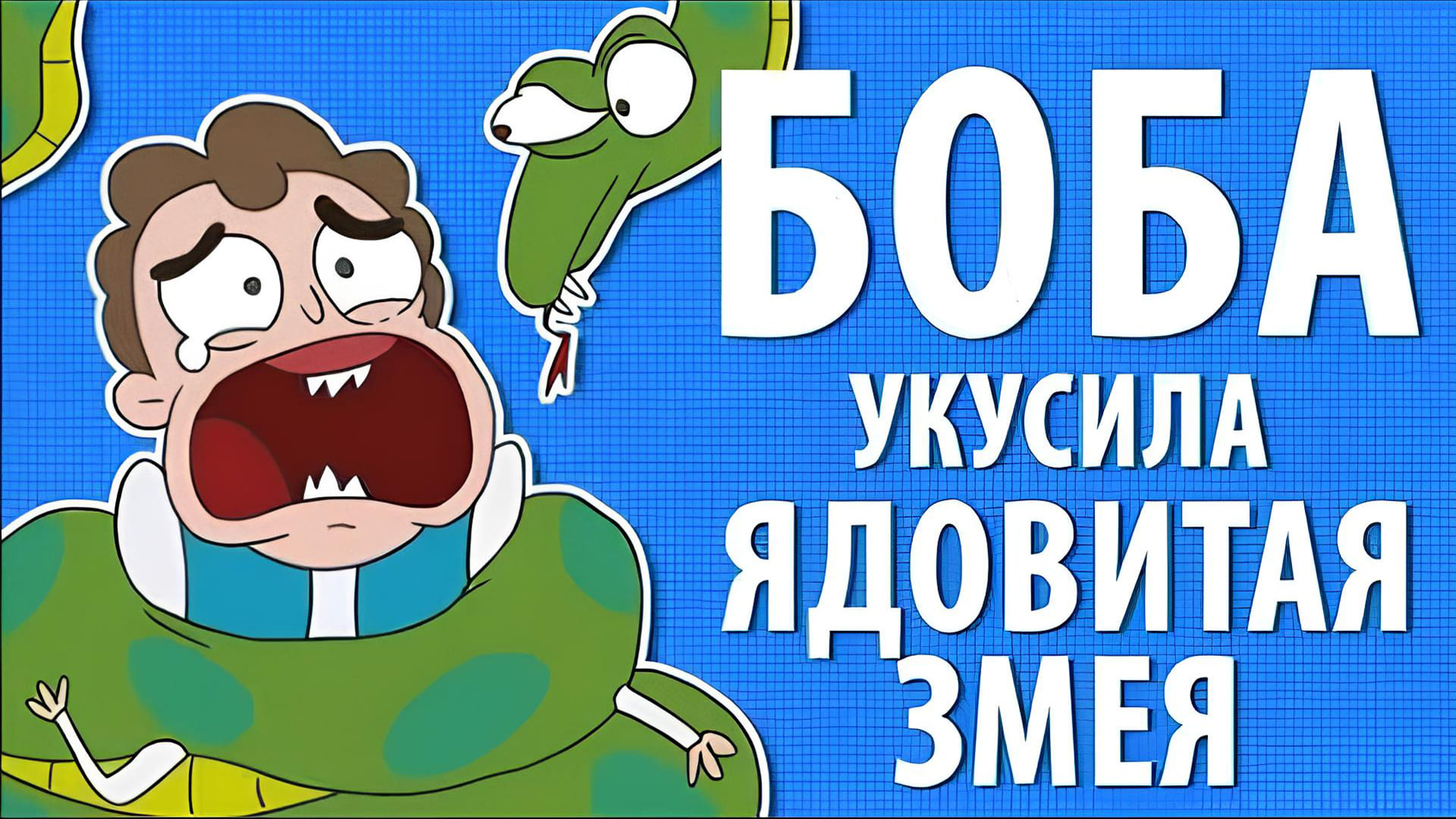 Боба укусила ядовитая змея
