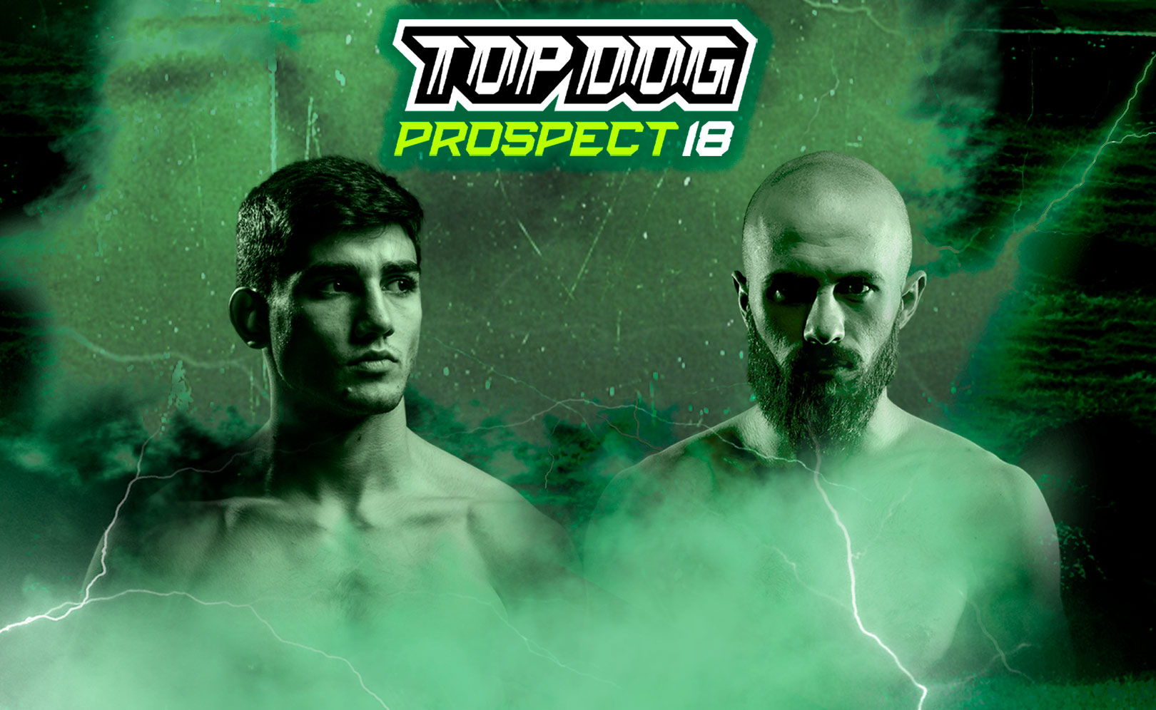 Top Dog Prospect 18