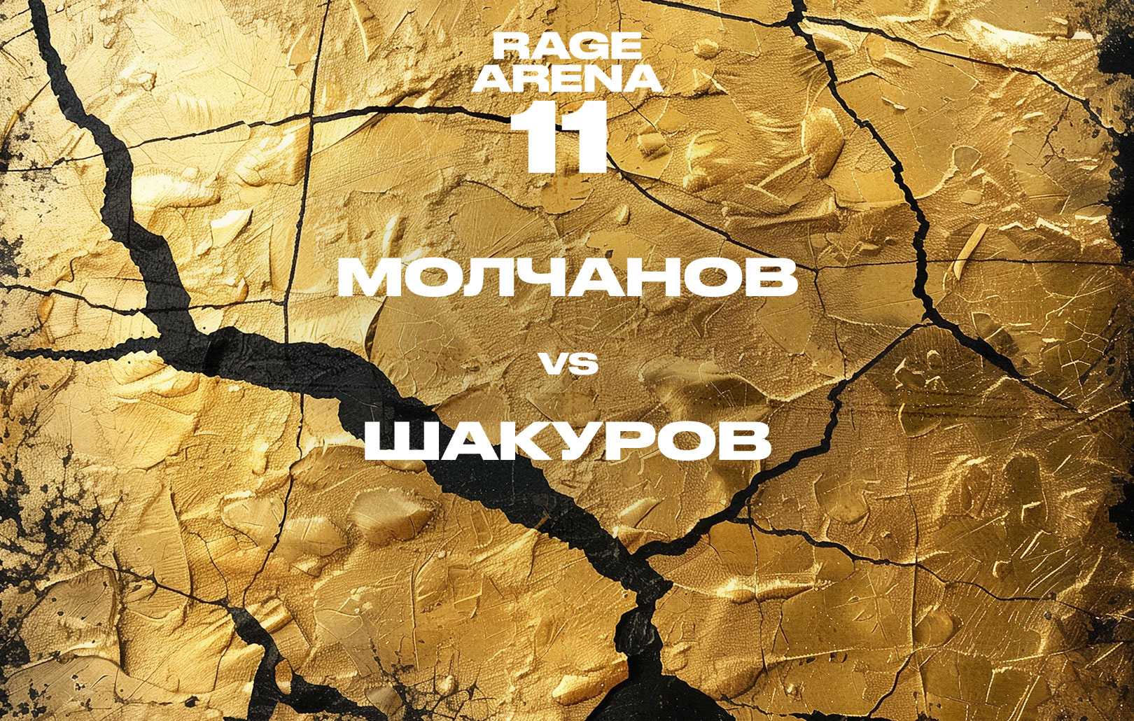 Молчанов vs Шакуров
