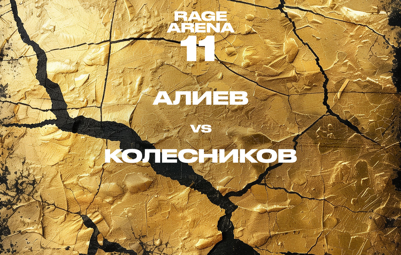 Алиев vs Колесников