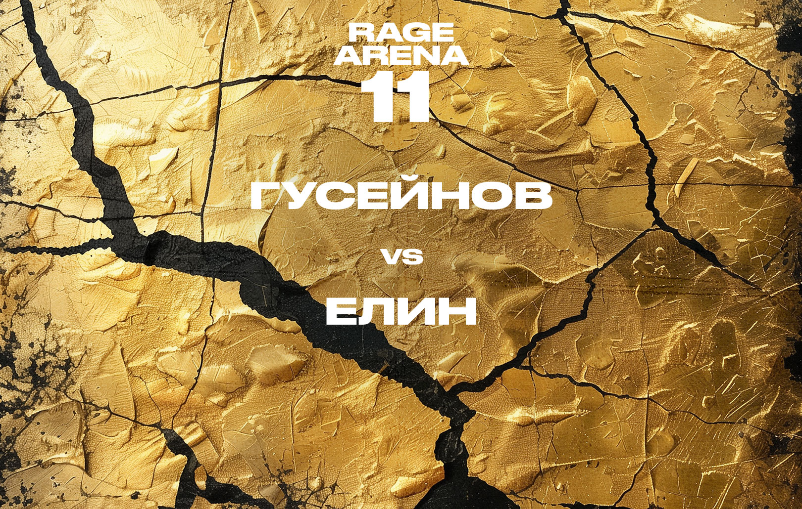 Гусейнов vs Елин
