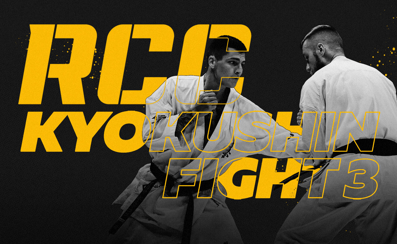 RCC Kyokushin Fight 3