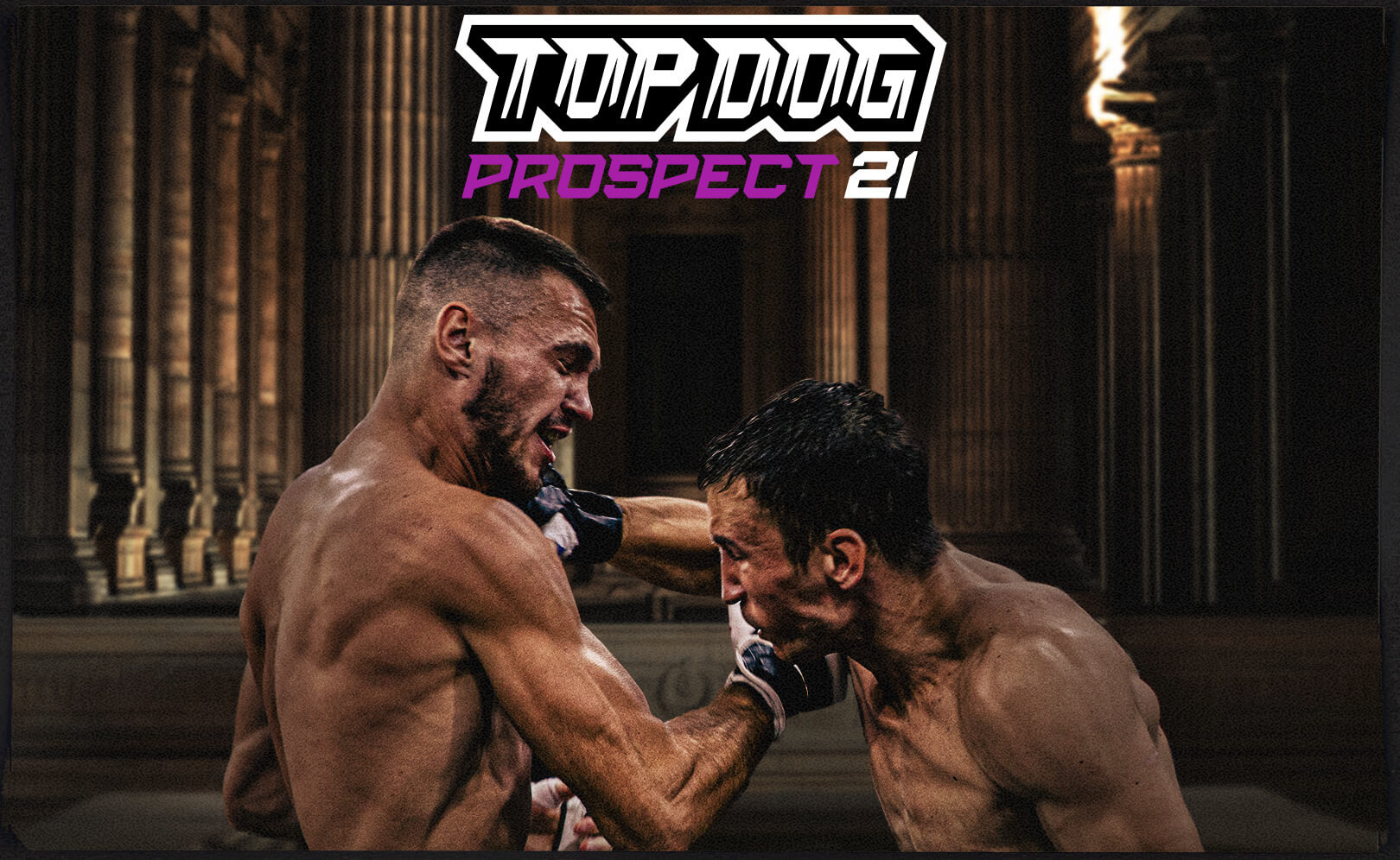 Top Dog Prospect 21. Сезон 1