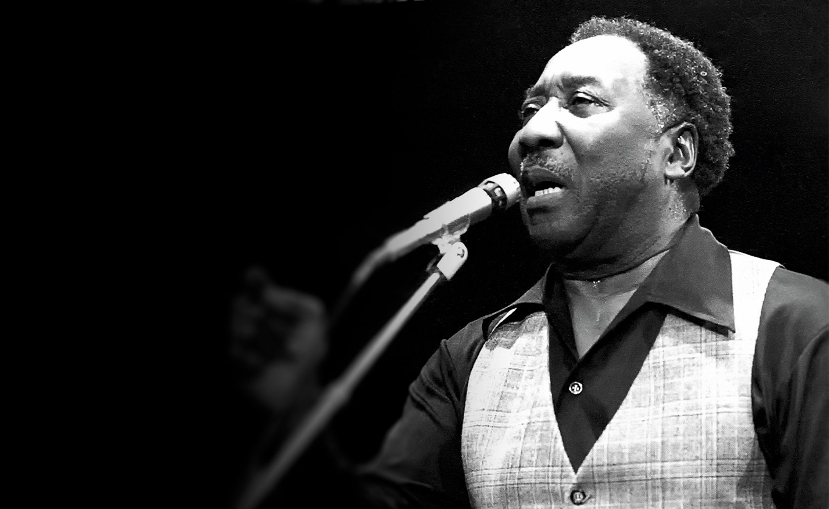 Muddy Waters Blues Band. Live At Rockpalast: Westfalenhalle Dortmund