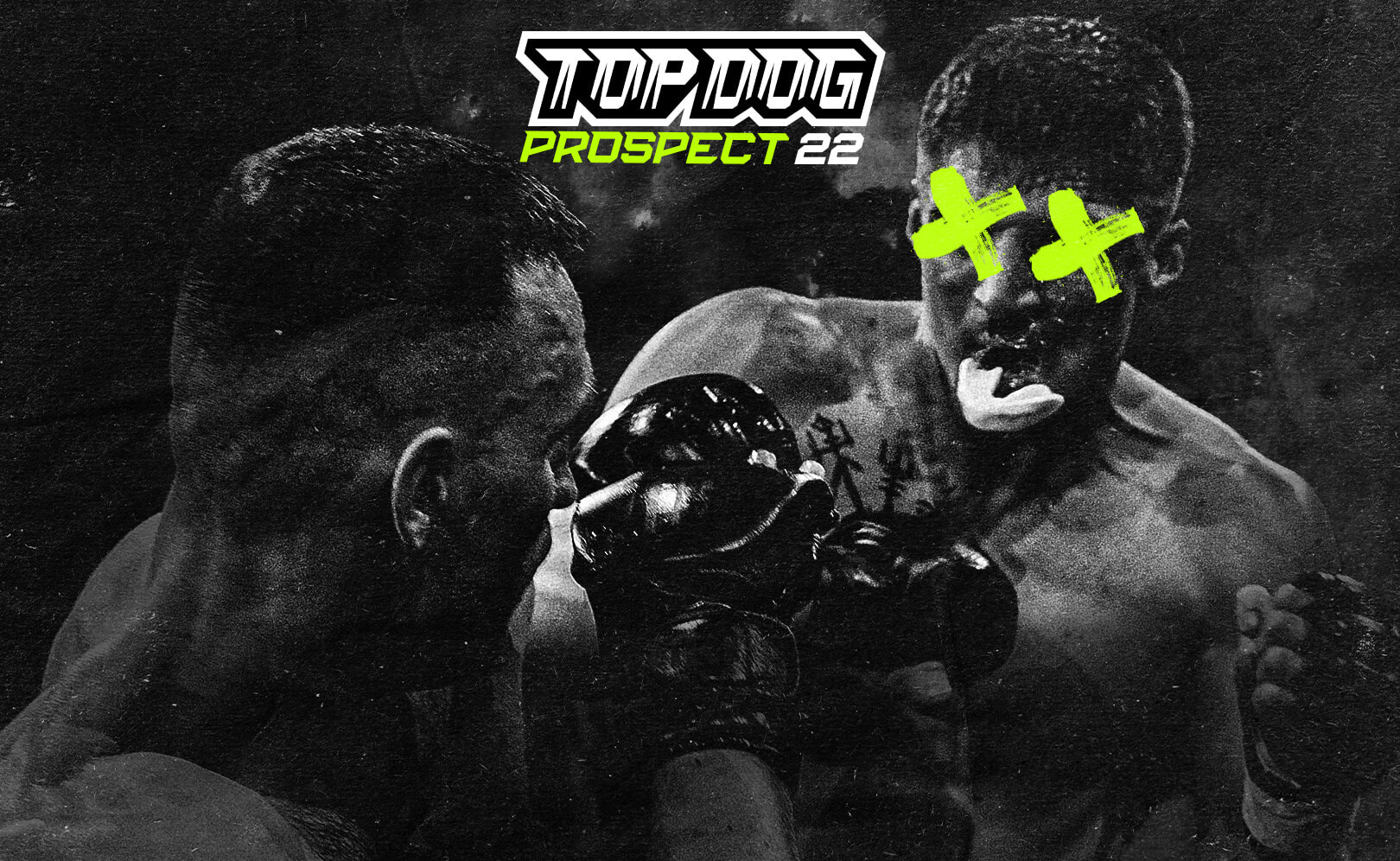 Top Dog Prospect 22. Сезон 1