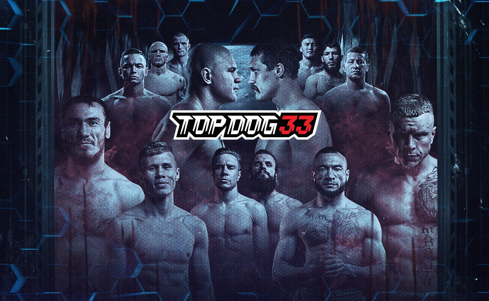 Top Dog 33