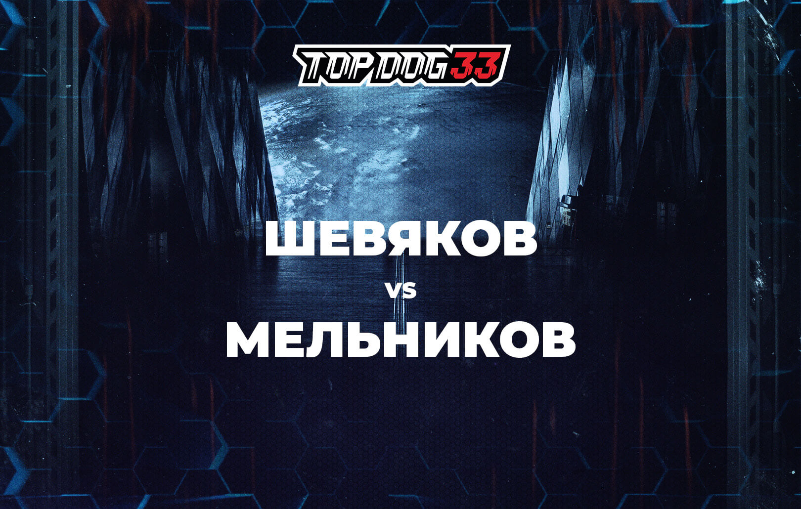 Шевяков vs Мельников