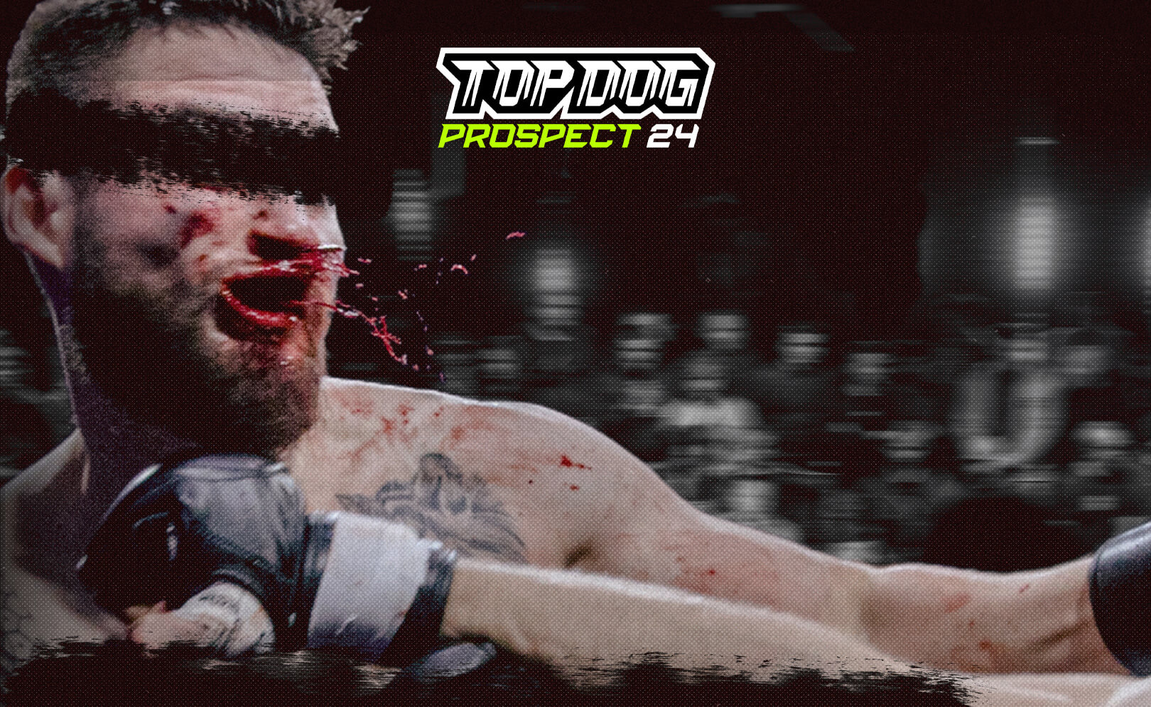 Top Dog Prospect 24