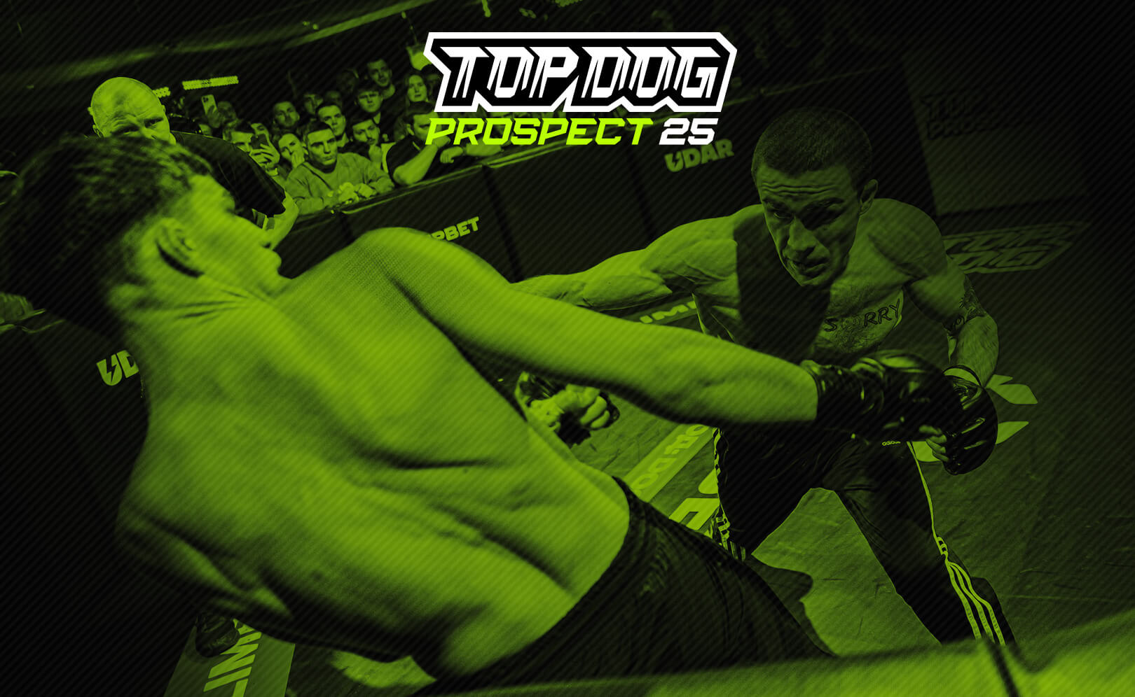 Top Dog Prospect 25. Сезон 1